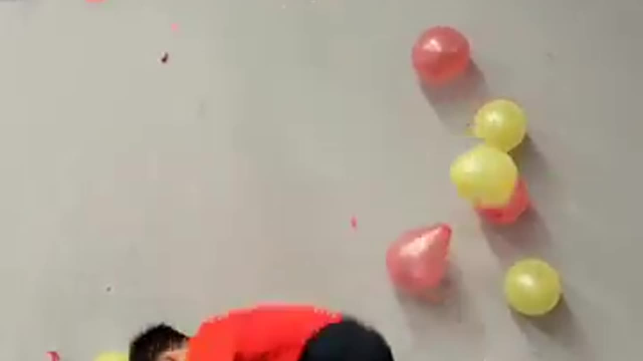 Funny videos