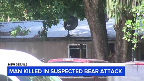 88-year-old man and dog killed in bear attacks in Florida: Officials