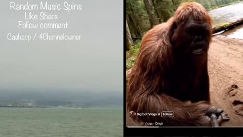 Random Music Spins