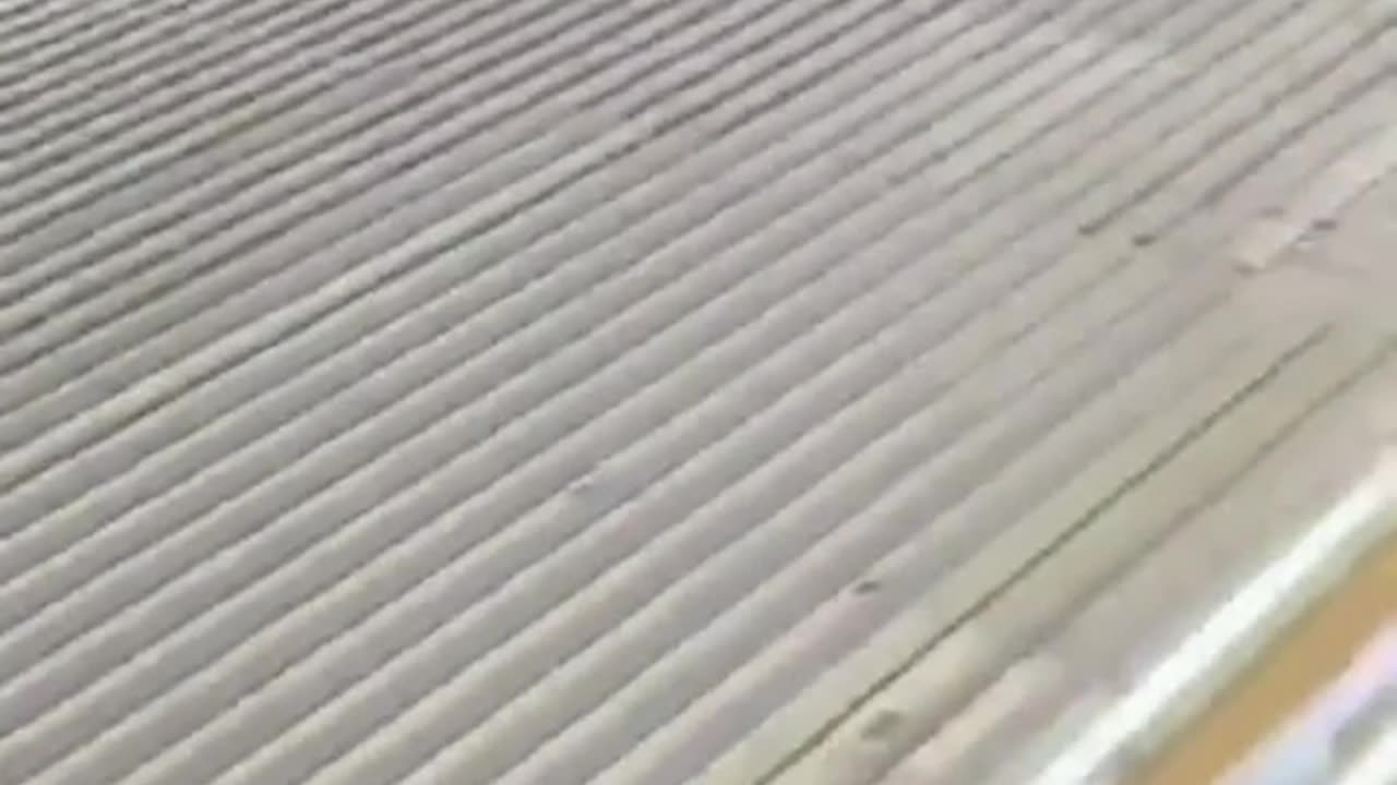 “ This is what our future will look like if the climate scammers are allowed to have their way.”