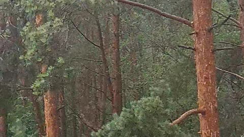 Powerful Thunderstorm Is Heading It's Way!
