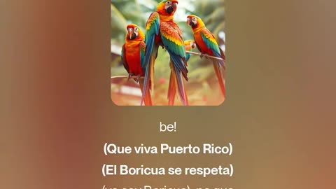 Balon Rocop - Yo soy boricua, pa que tu lo sepas