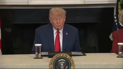 President Donald Trump has announced a new policy proposal that would see every American child