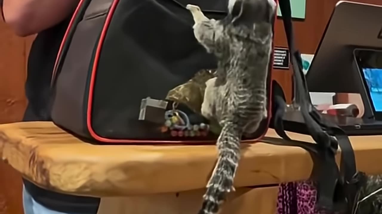 Fast Guy