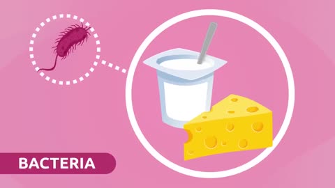 Microorganisms 🦠 | Bacteria, Viruses & Fungi 🧫 | Science Explanation for Kids 👧👦