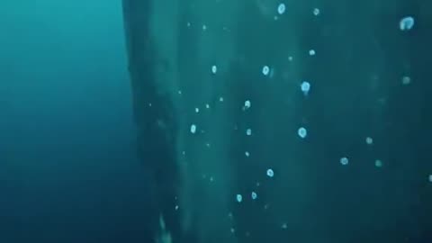 Underwater hull cleaning
