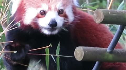 God you need to earn your entrance into a New 5D Earth by completing your spiritual responsibility.