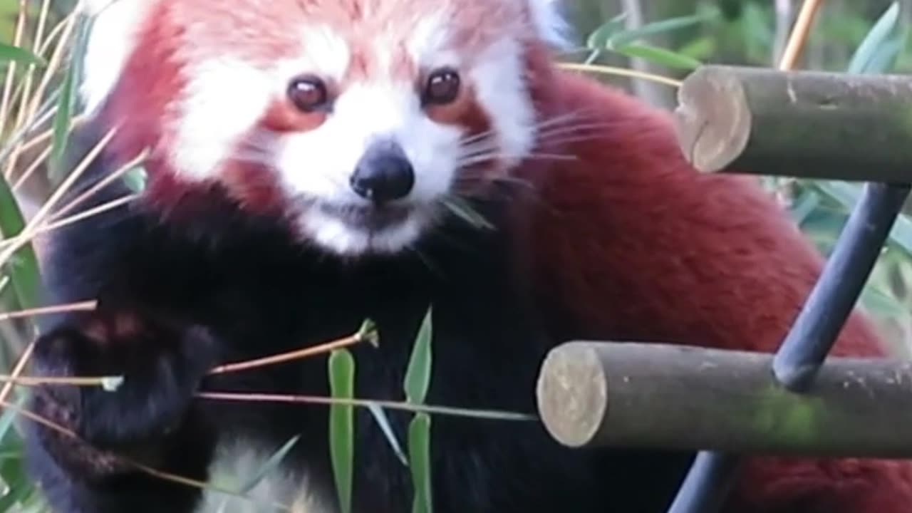 God you need to earn your entrance into a New 5D Earth by completing your spiritual responsibility.