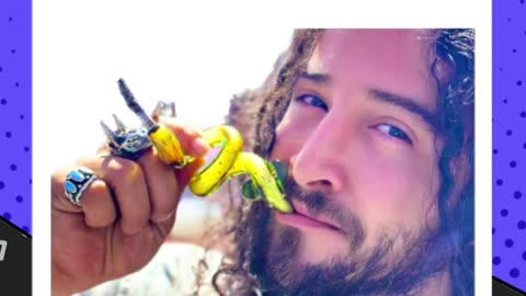 🔥 VIPER VESSEL – Handmade Joint Holder by IC Glass 💨