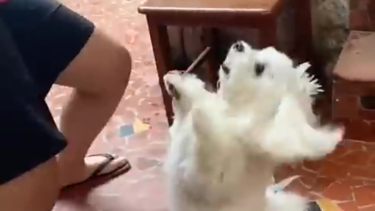 Dancing Time