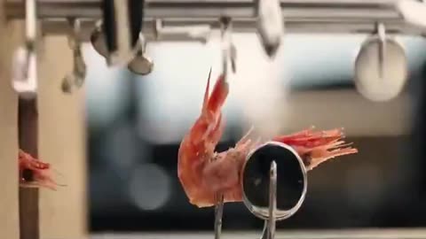 The rich
