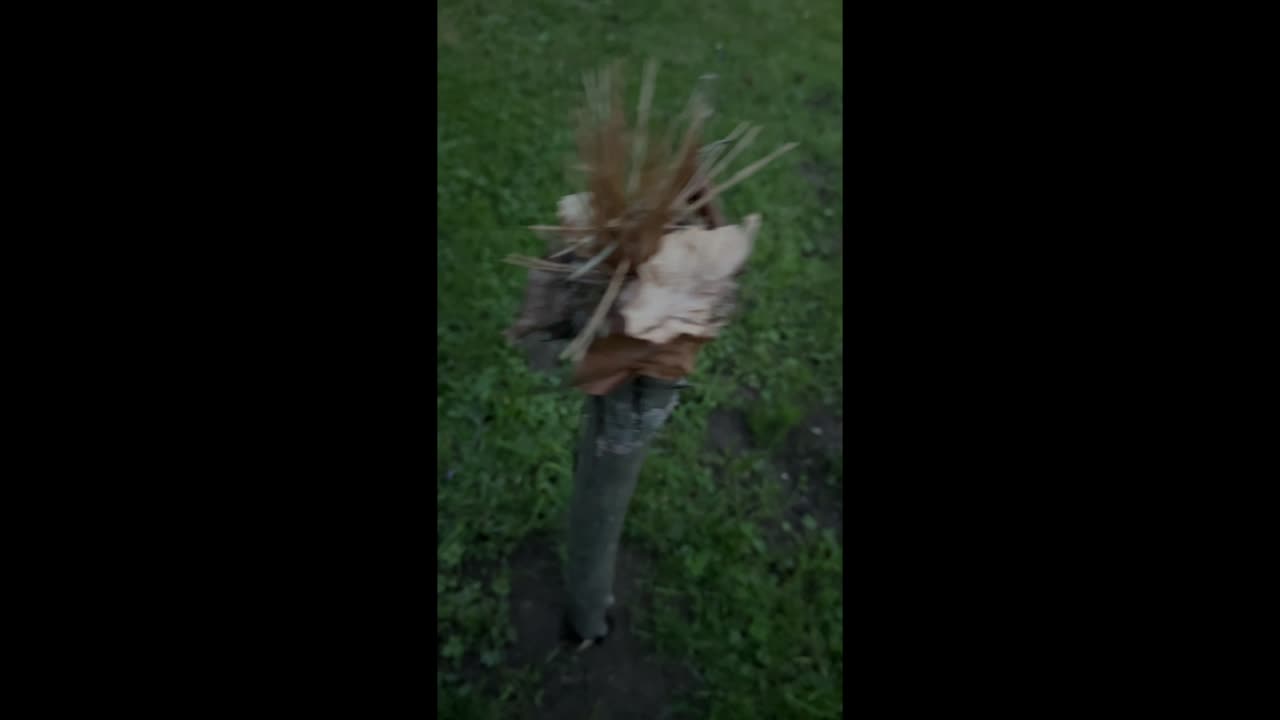 Podpal a přírodní pochodeň