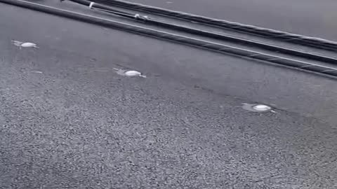 Las Vegas Windstorm Aftermath 07/01/25