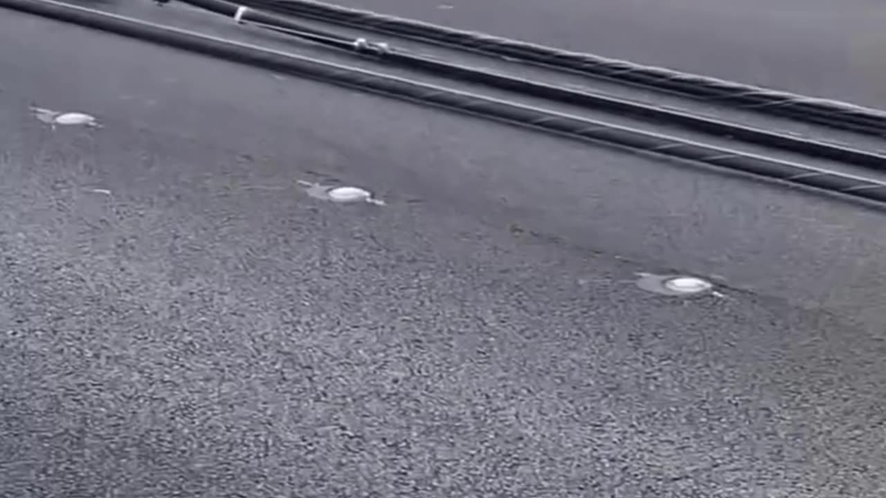 Las Vegas Windstorm Aftermath 07/01/25