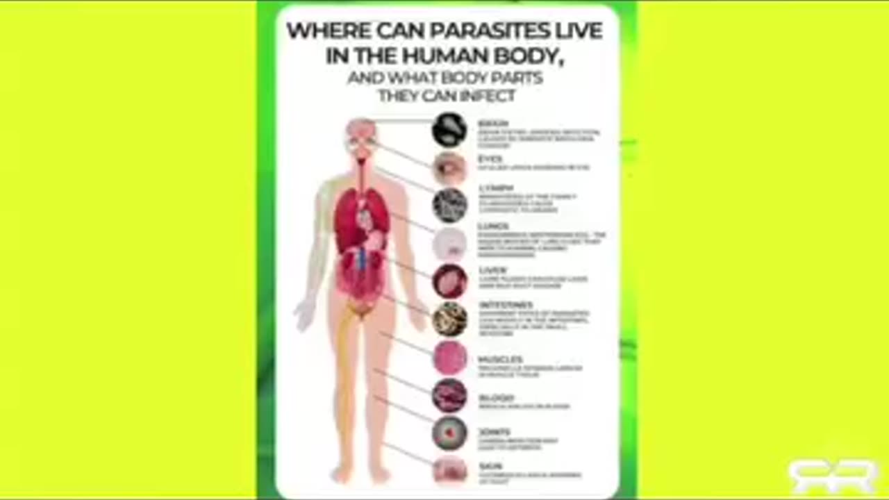 La realidad de los VIRUS