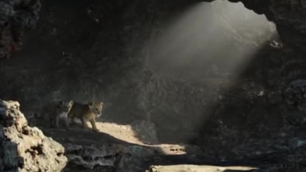 The lion king 3