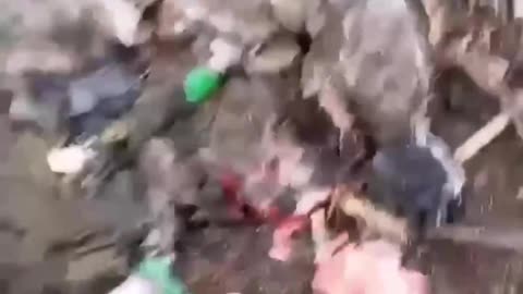 Ukraine Conflict