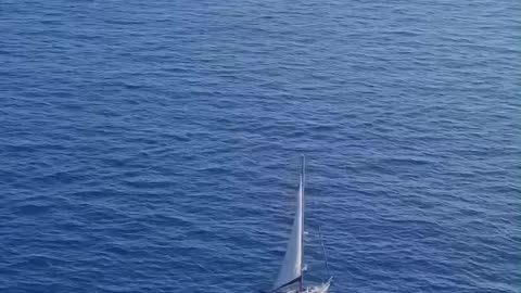 The empty seat ft 794526 search me #viral #mysteryinsid #trending #motivation #shortsfeed #urfeed