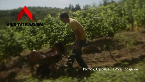 TAJNE VINOVE LOZE - ARIAtelevision