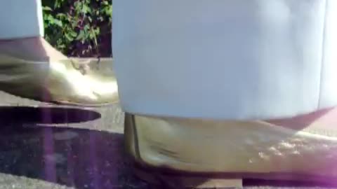 Poor Earthworm