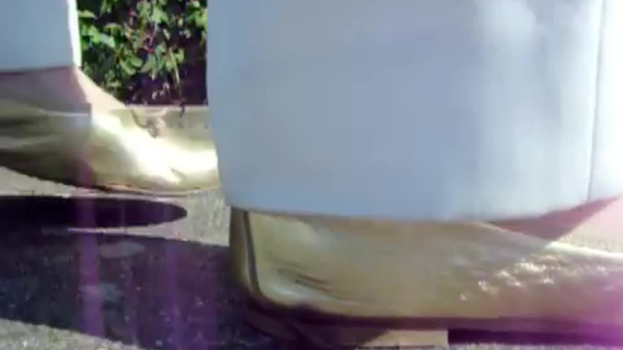 Poor Earthworm