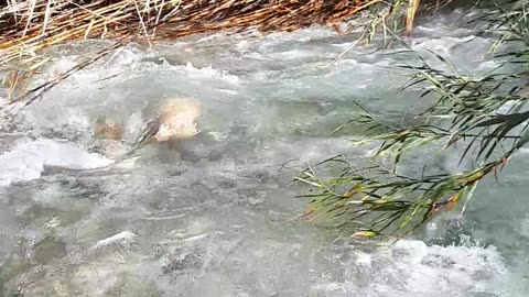 NATURE BATH