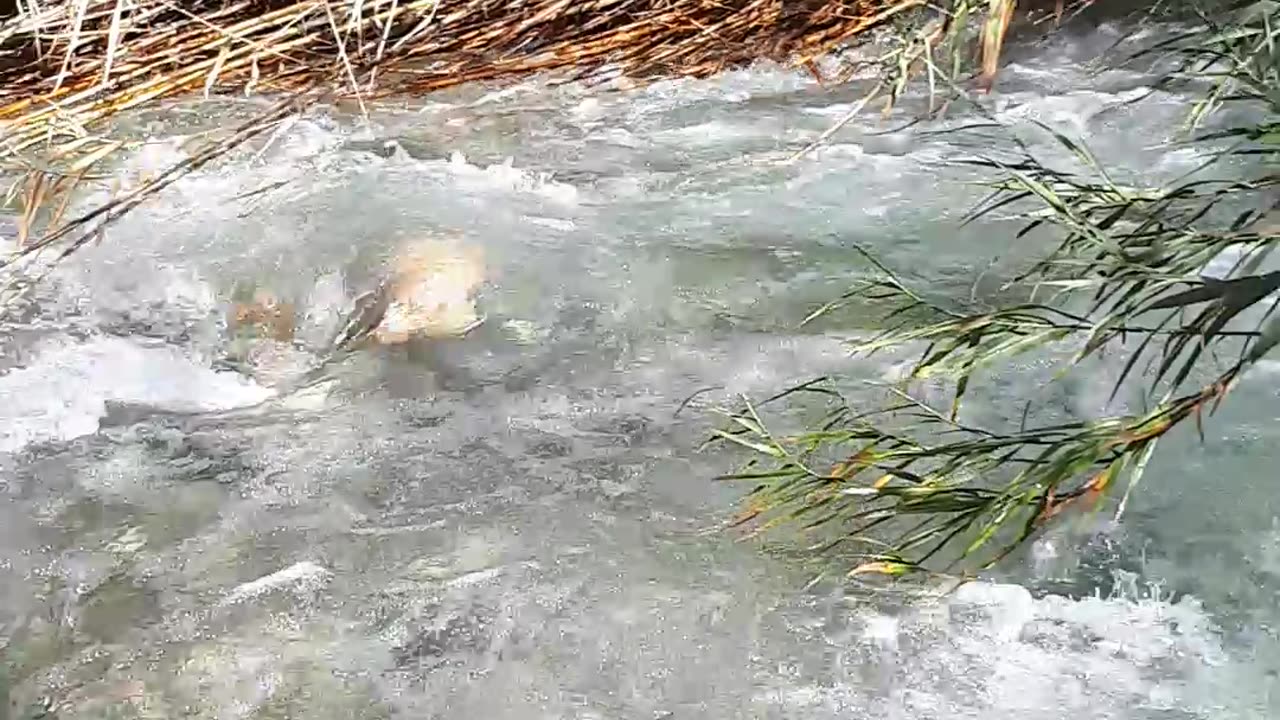 NATURE BATH