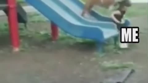 Animal Child