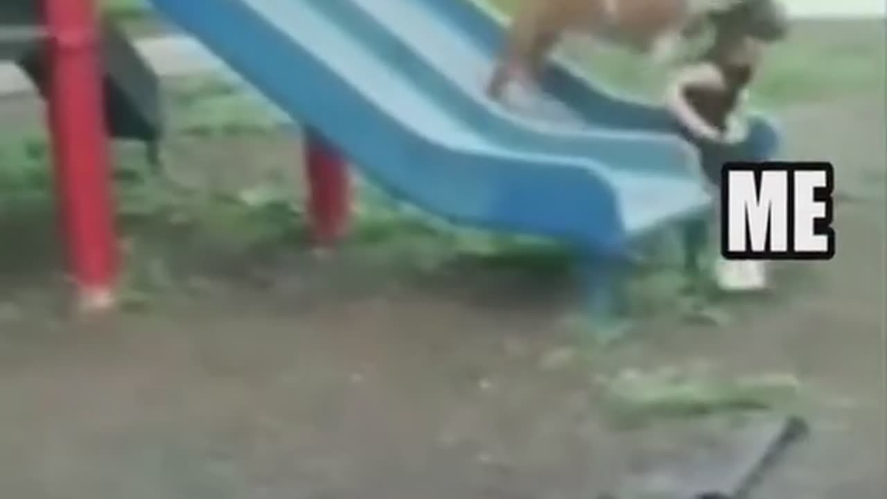 Animal Child