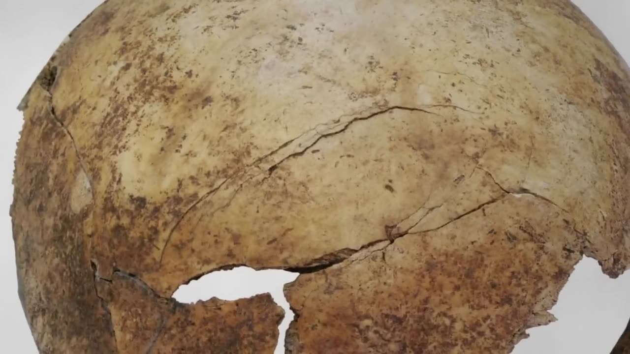 The Forgotten Prehistoric War That Killed 95% Of All Men