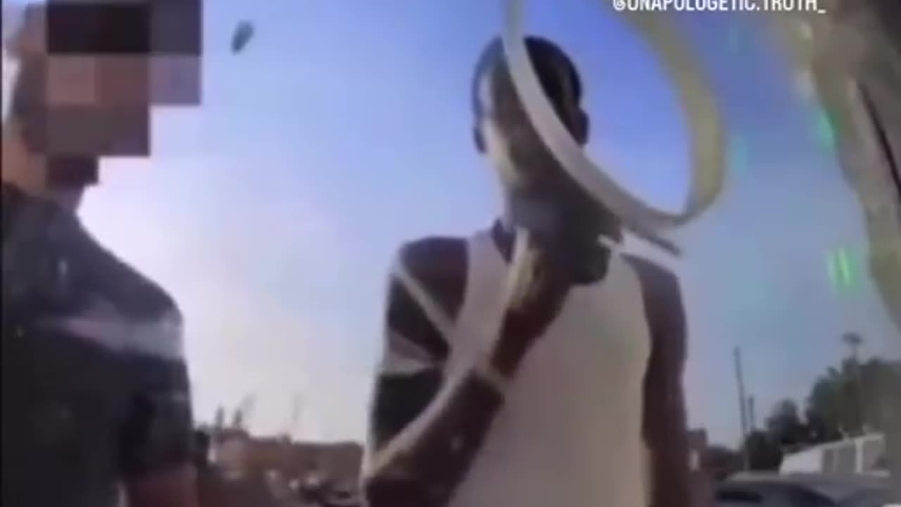 THESE FUCKING NIGGER DOGS EVERYBODY IS SICK OF THEM WAIT TIL THE END OF VIDEO -satisfying