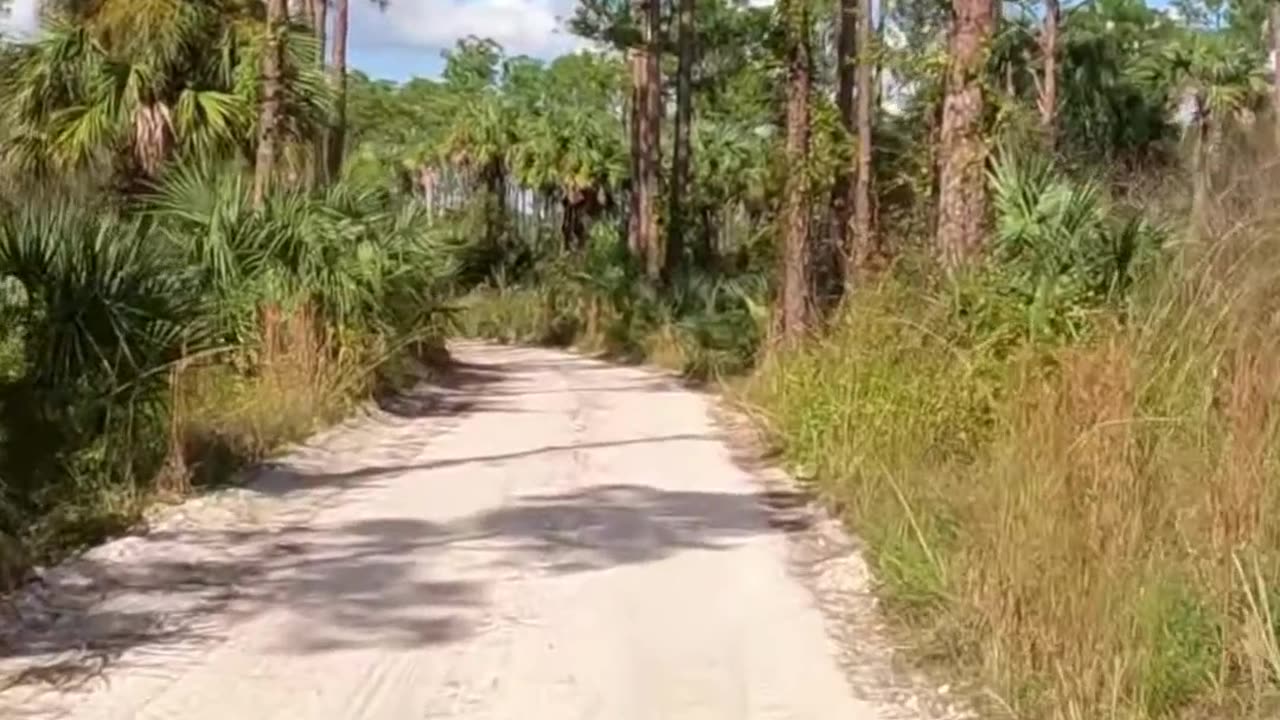 South Florida Riding