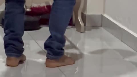 Dad Tries to Help With Huge Spider