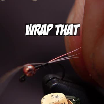 tying a Pheasant tail!