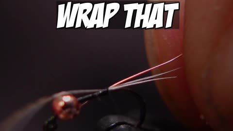 tying a Pheasant tail!