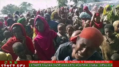 መስከረም 8-2025 ONM-ABO እለታዊ የኦሮሞ ነፃነት ሰራዊትና የኦሮሚያ ውሎ!