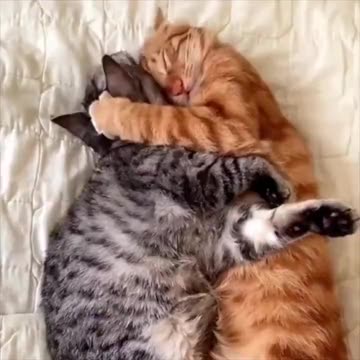 You’re mine.. 😅