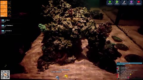 24/7 Real Live Reef Stream