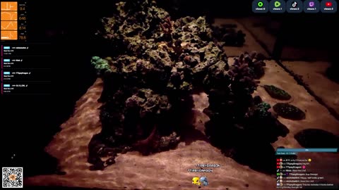 24/7 Real Live Reef Stream