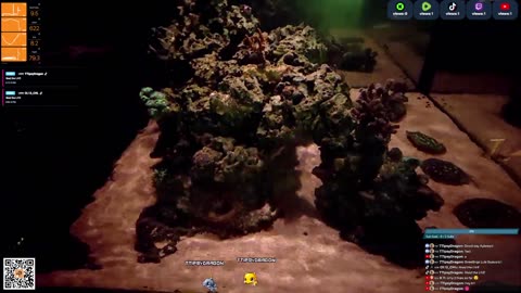 24/7 Real Live Reef Stream