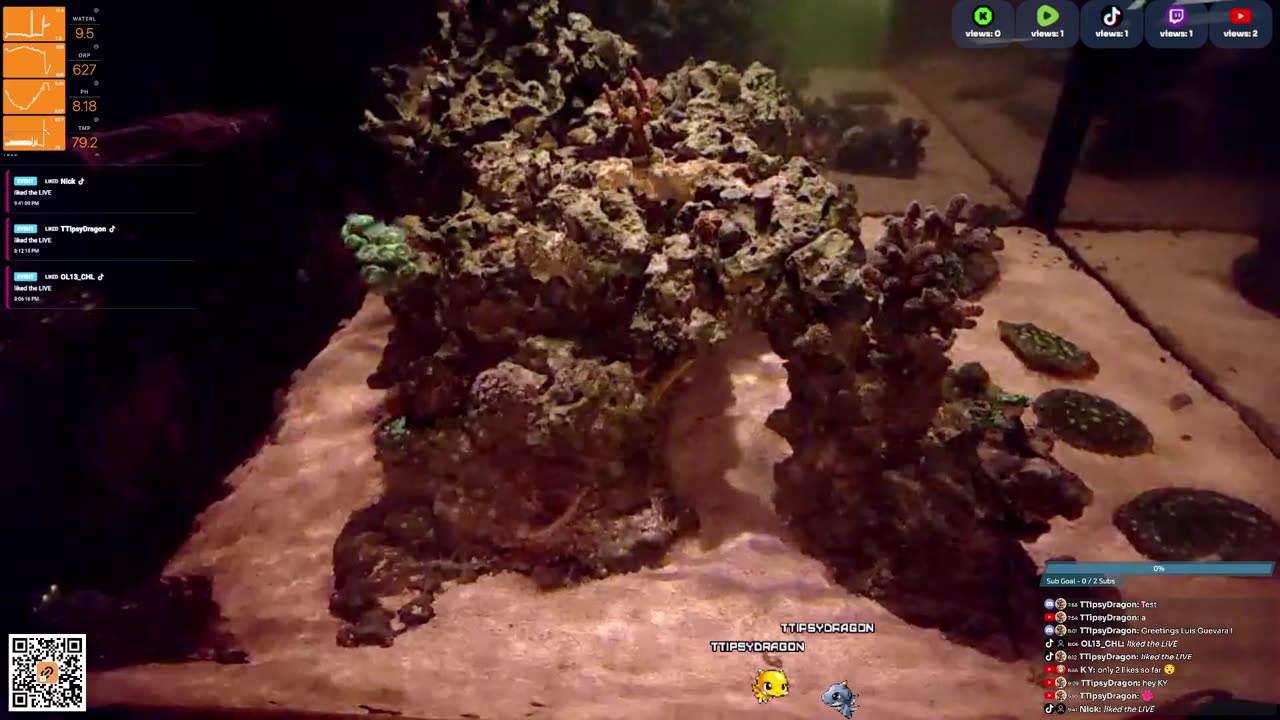24/7 Real Live Reef Stream