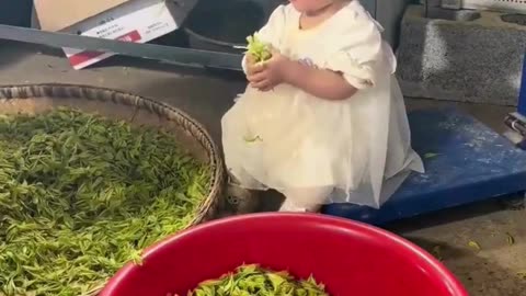 Adorable Baby Moments That Will Melt Your Heart 🍼💕