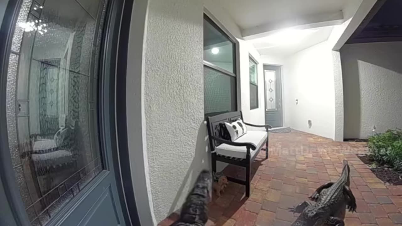 Door to door solicitation is just different in Florida. 🐊