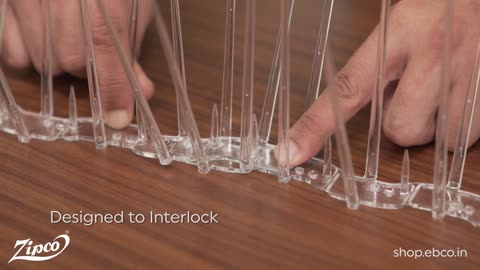 Bird Spike | Made of Polycarbonate | Transparent | Weather Ressistant