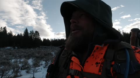 What Could We Have Tagged Out On?