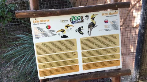 Lagos Zoo (Algarve, Portugal) 8