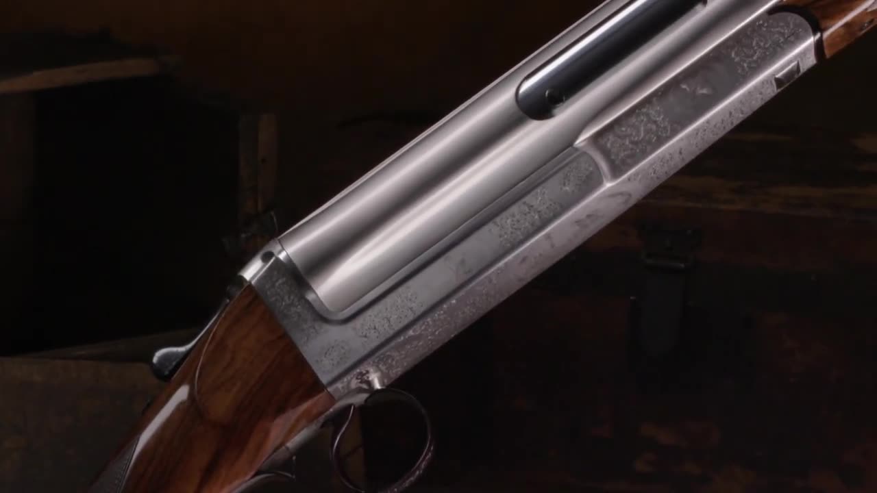 Experience the Cosmi Shotgun