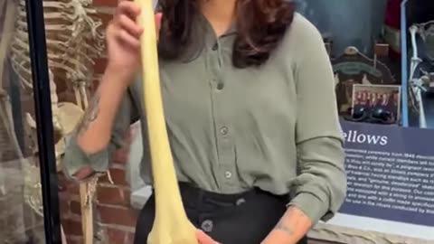 The Bone Museum