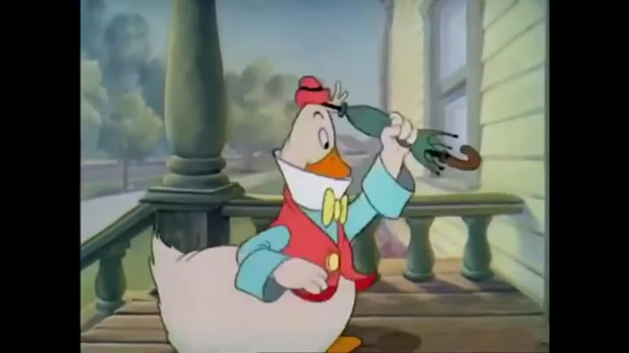 Donald Duck Cartoon