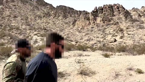 BERGQUAM HELPS BORDER PATROL FIND ILLEGAL ALIEN
